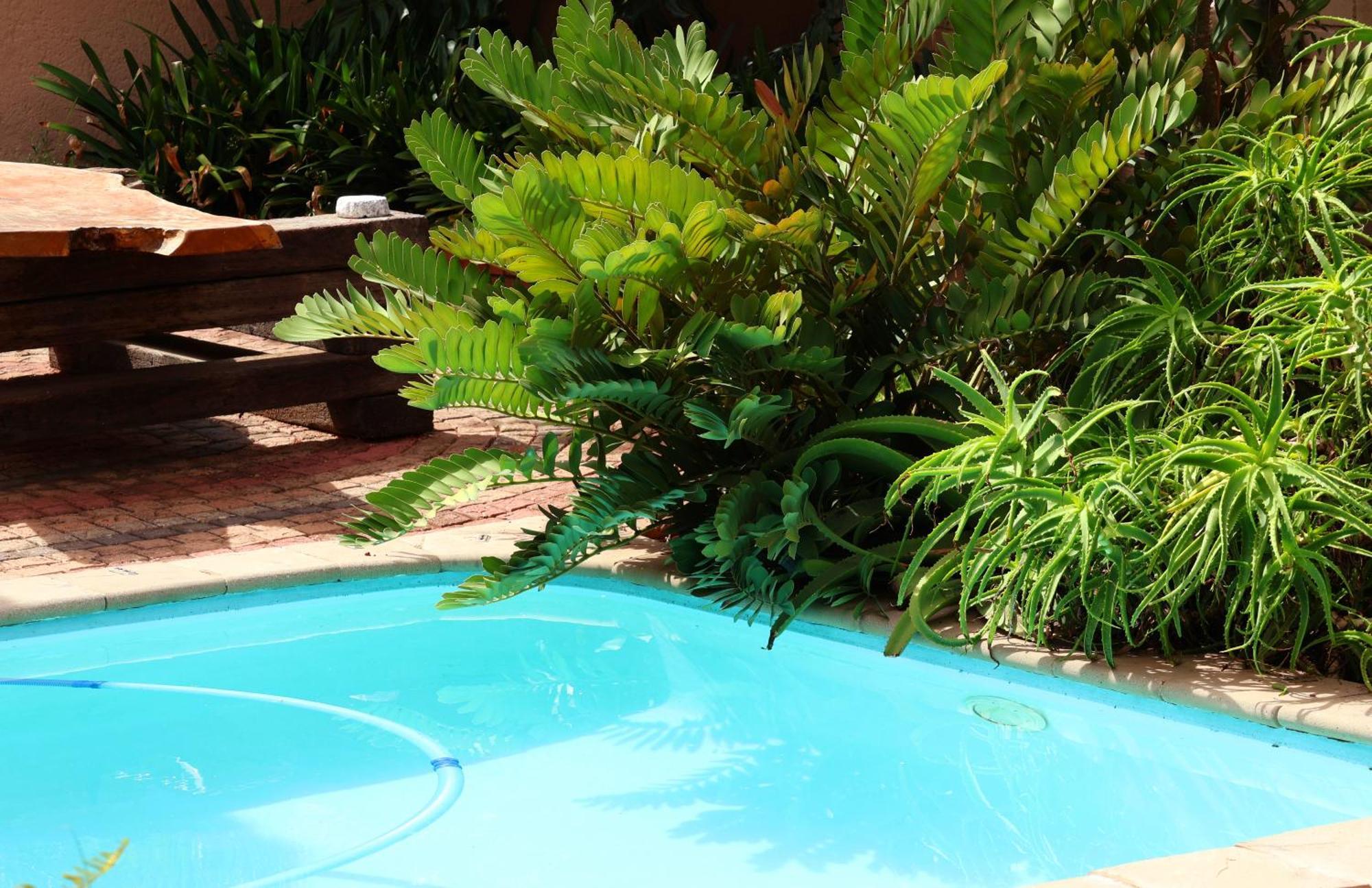 The Leopard Tree Bed & Breakfast Polokwane Bagian luar foto